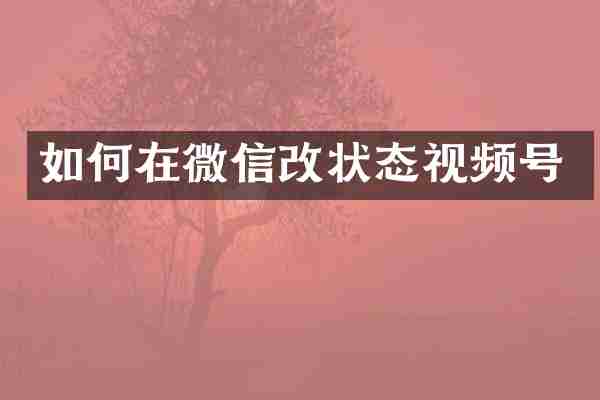 如何在微信改状态视频号