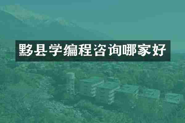 黟县学编程咨询哪家好