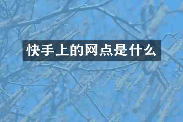 快手上的网点是什么