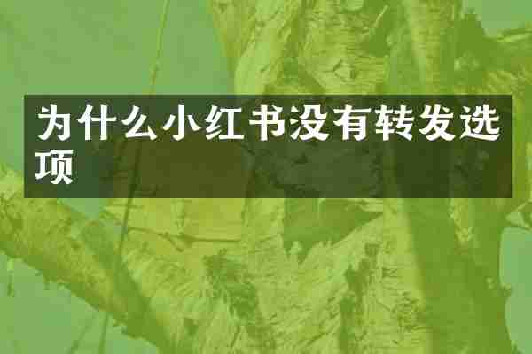 为什么小红书没有转发选项