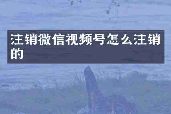 注销微信视频号怎么注销的