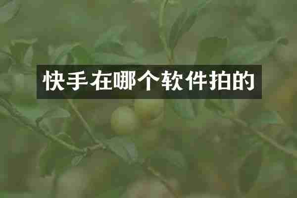 快手在哪个软件拍的
