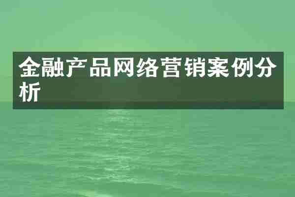 金融产品网络营销案例分析