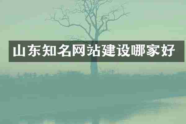 山东知名网站建设哪家好