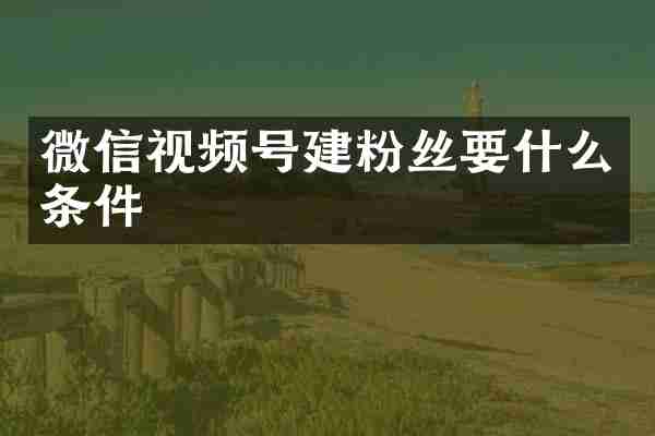 微信视频号建粉丝要什么条件