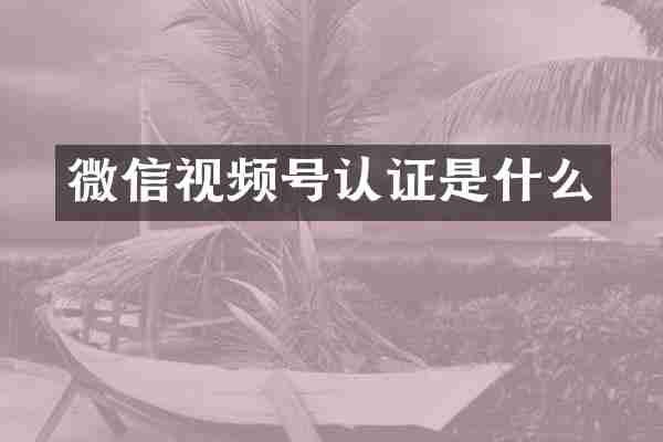 微信视频号认证是什么