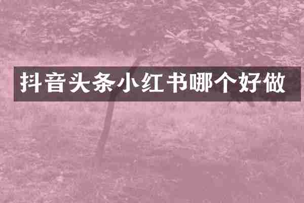 抖音头条小红书哪个好做