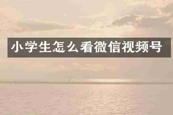小学生怎么看微信视频号