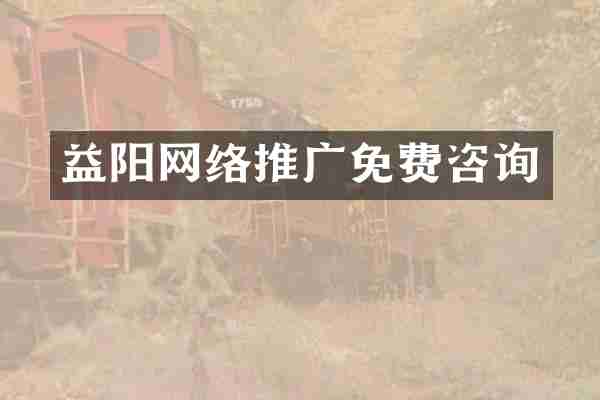 益阳网络推广免费咨询