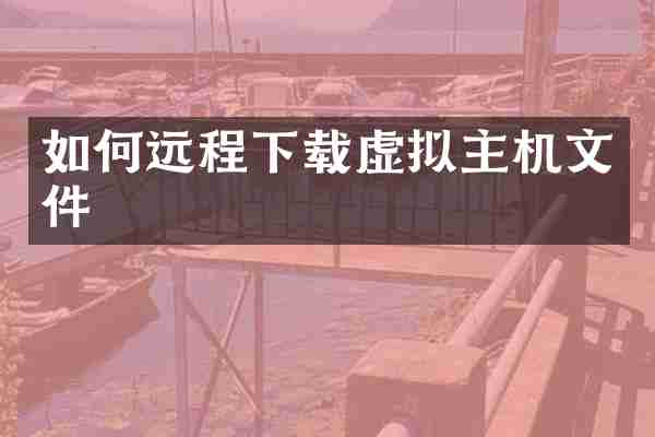 如何远程下载虚拟主机文件