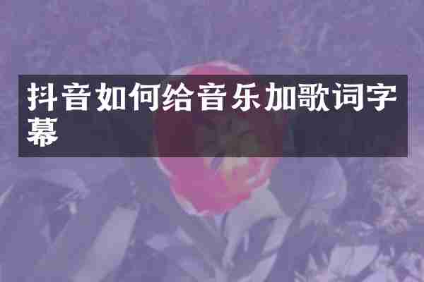 抖音如何给音乐加歌词字幕