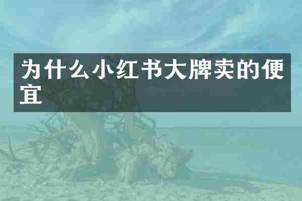 为什么小红书大牌卖的便宜