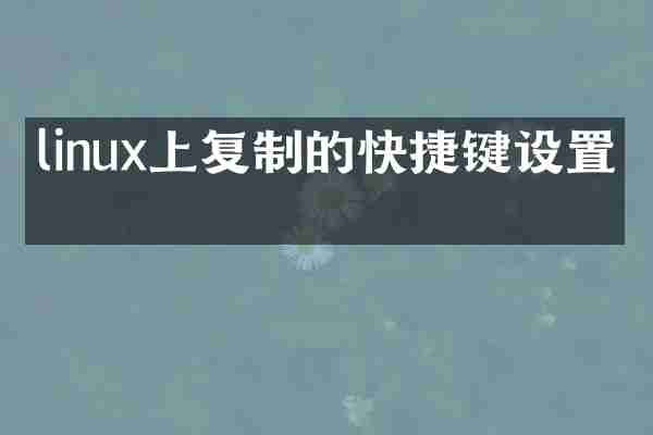 linux上复制的快捷键设置吗