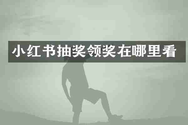 小红书抽奖领奖在哪里看