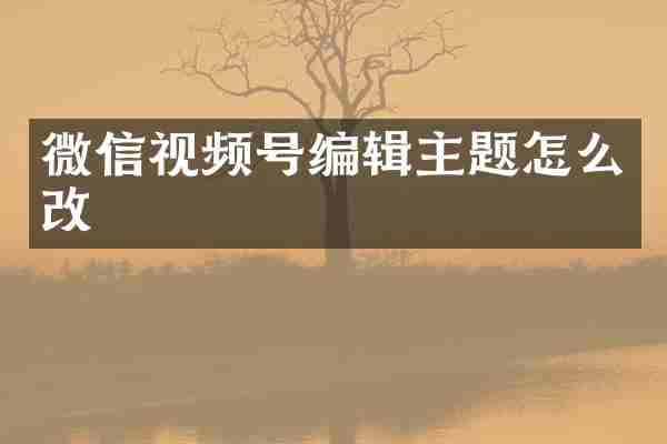 微信视频号编辑主题怎么改