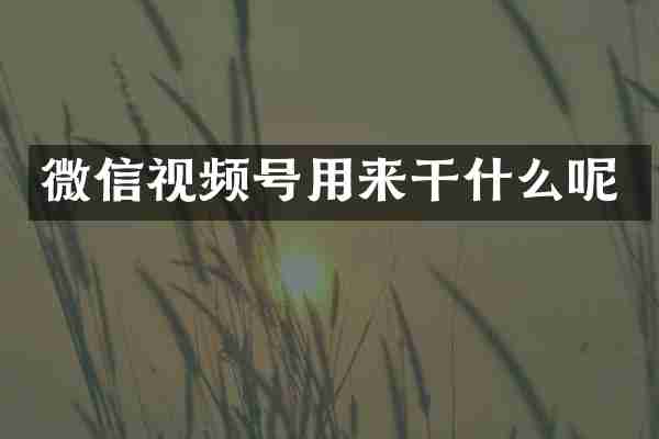 微信视频号用来干什么呢