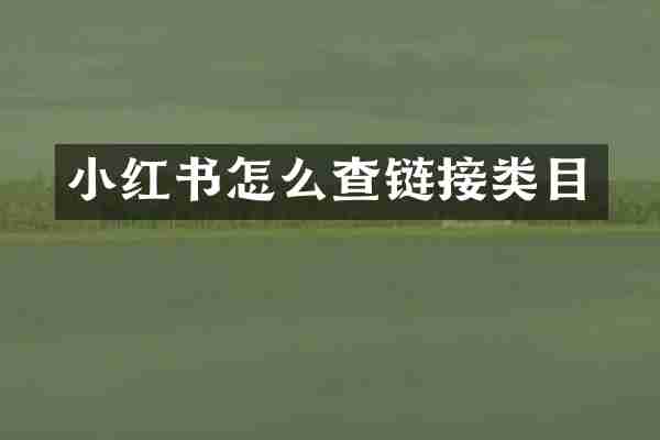 小红书怎么查链接类目