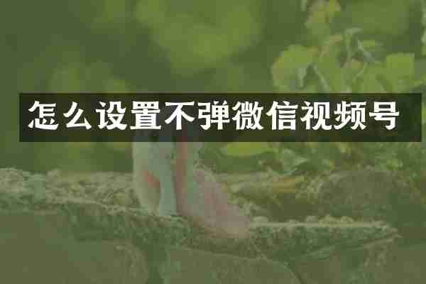 怎么设置不弹微信视频号