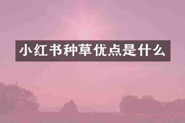 小红书种草优点是什么