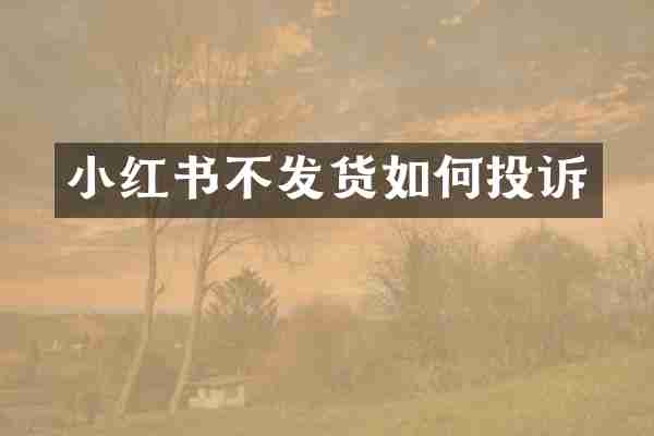 小红书不发货如何投诉