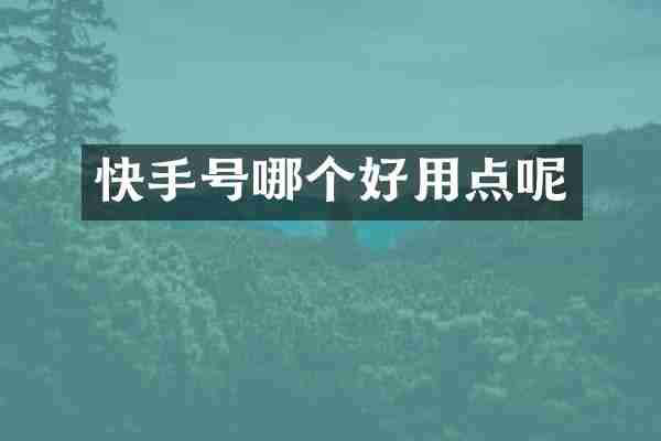 快手号哪个好用点呢