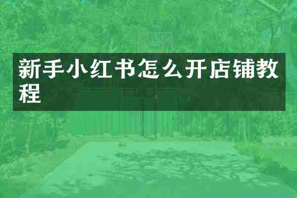 新手小红书怎么开店铺教程