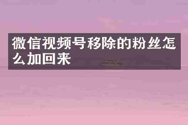 微信视频号移除的粉丝怎么加回来