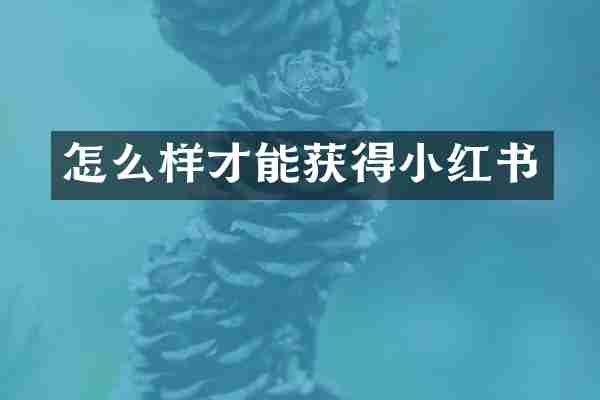 怎么样才能获得小红书