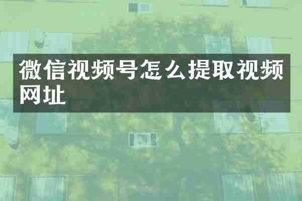 微信视频号怎么提取视频网址
