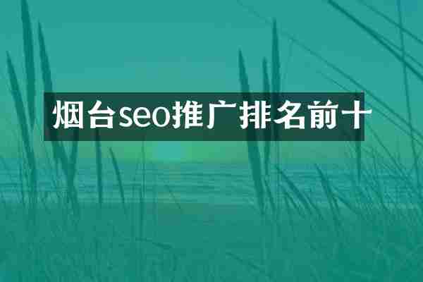 烟台seo推广排名前十