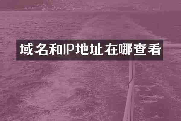 域名和IP地址在哪查看