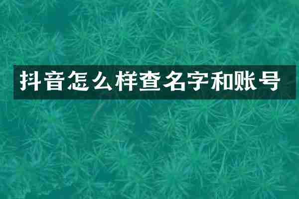 抖音怎么样查名字和账号