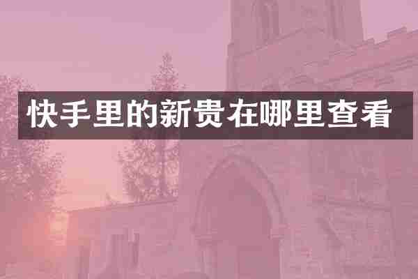 快手里的新贵在哪里查看