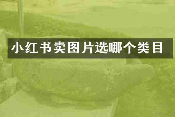 小红书卖图片选哪个类目