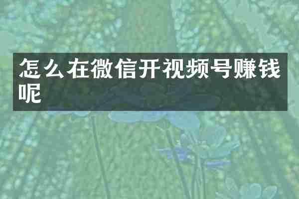 怎么在微信开视频号赚钱呢