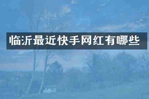 临沂最近快手网红有哪些