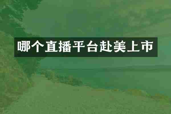 哪个直播平台赴美上市