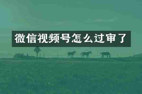 微信视频号怎么过审了