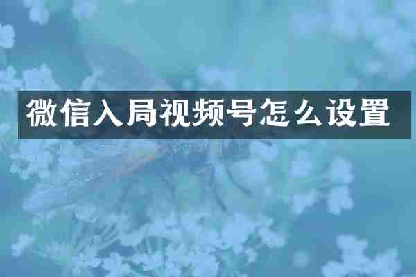 微信入局视频号怎么设置