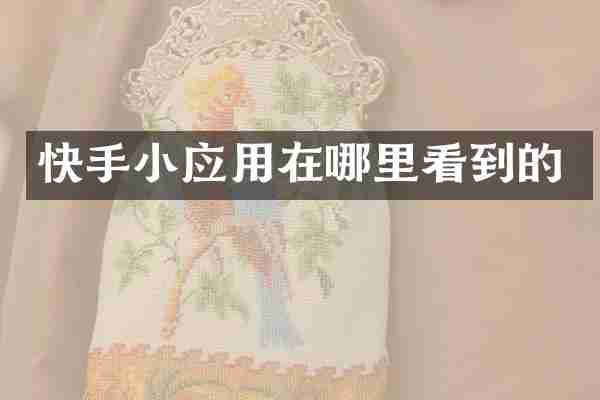快手小应用在哪里看到的