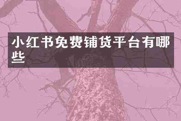 小红书免费铺货平台有哪些