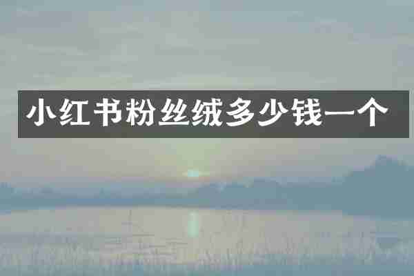 小红书粉丝绒多少钱一个