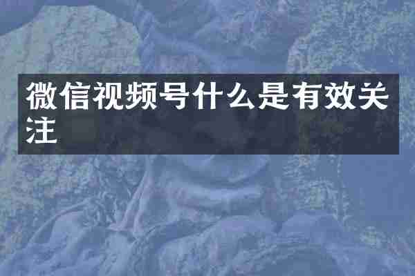 微信视频号什么是有效关注
