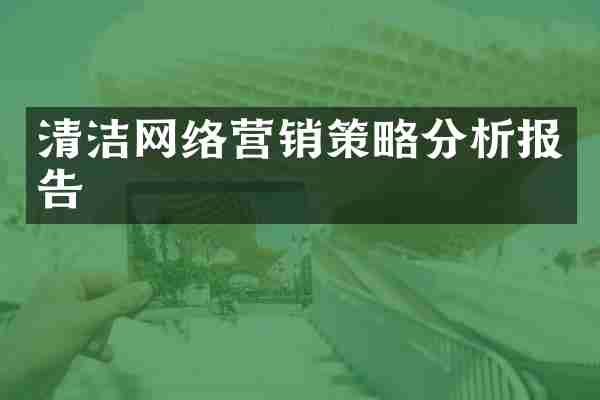 清洁网络营销策略分析报告