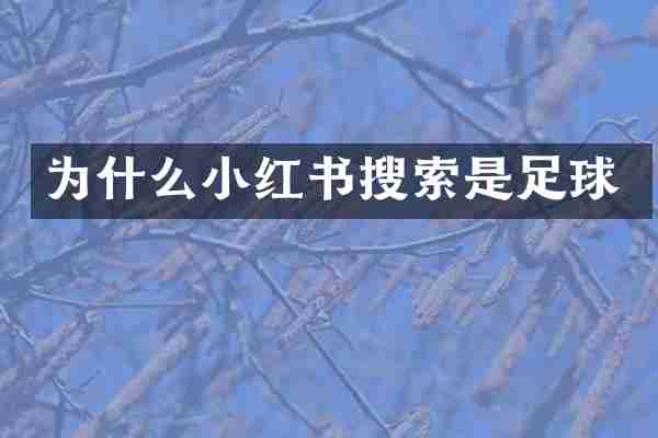 为什么小红书搜索是足球