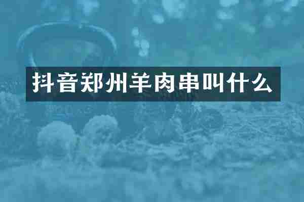 抖音郑州羊肉串叫什么