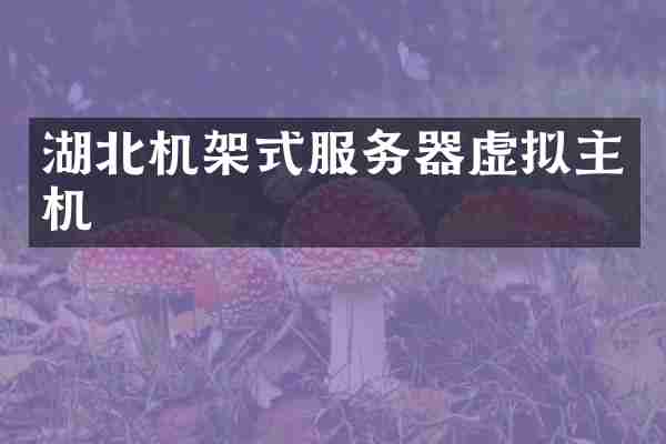 湖北机架式服务器虚拟主机