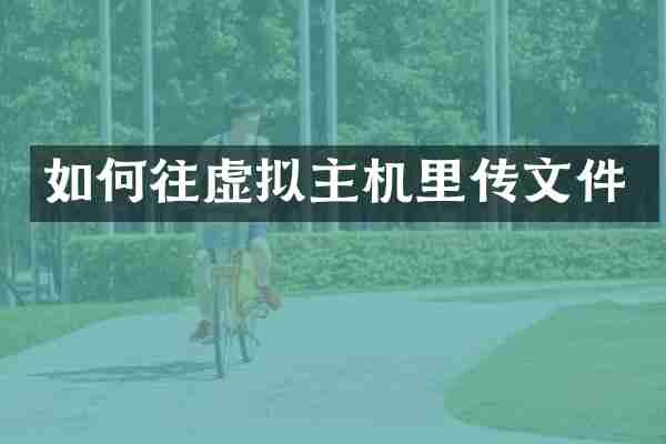如何往虚拟主机里传文件
