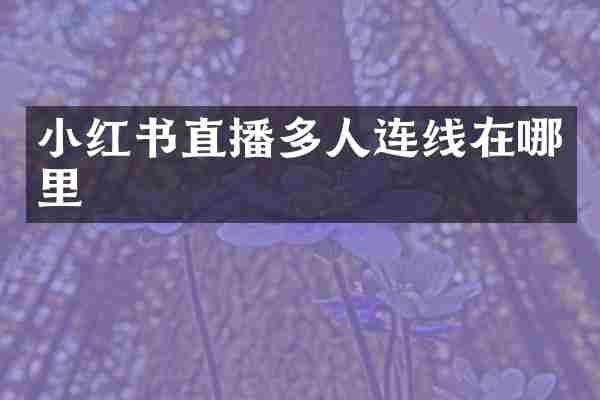 小红书直播多人连线在哪里