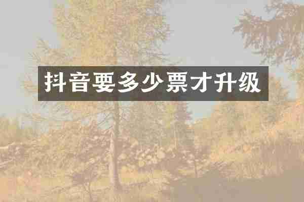 抖音要多少票才升级
